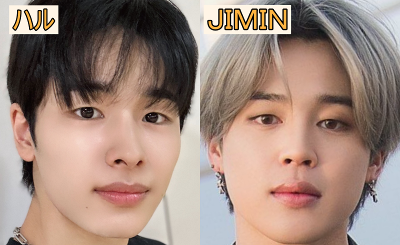 JIMINとハルの比較画像