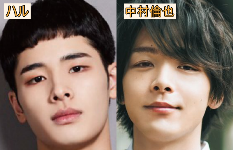 中村倫也とハルの比較画像