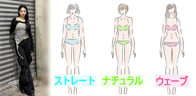 モモカの骨格の画像