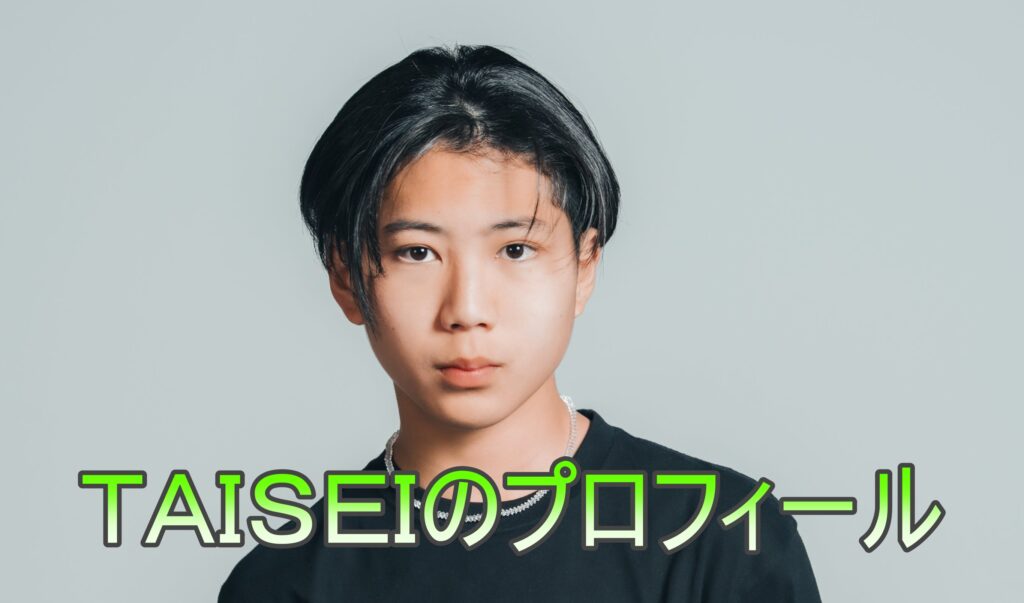 TAISEIの画像