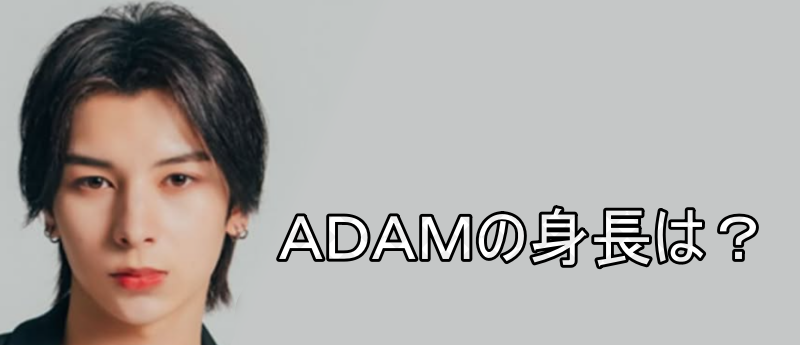 ＡＤＡＭの画像